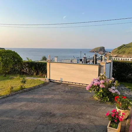 La Palmera Y El Mar * Naveces