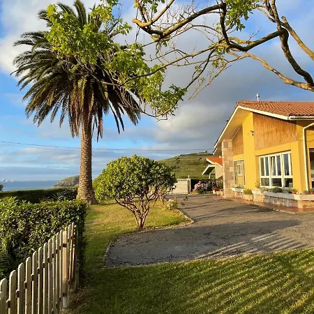 La Palmera Y El Mar *