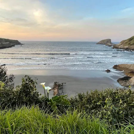 La Palmera Y El Mar *