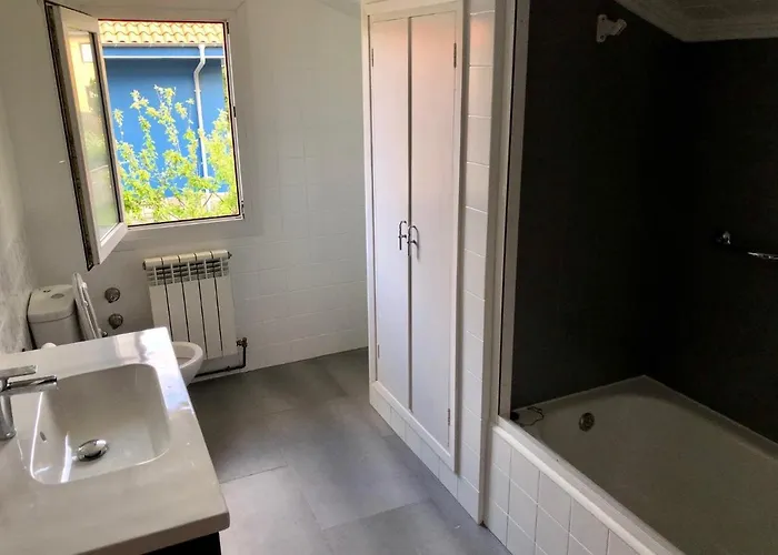 La Palmera Y El Mar Naveces