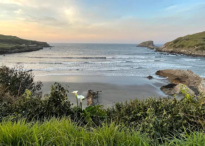 La Palmera Y El Mar *