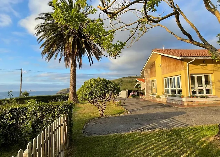 La Palmera Y El Mar *